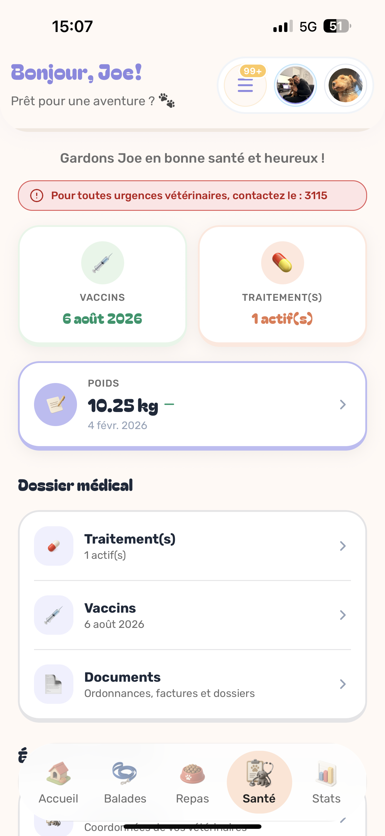Carnet santé chien